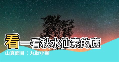 秋水仙素外觀